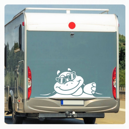 Schildkröte Sticker Aufkleber Autoaufkleber schaut raus Cool WoMo188